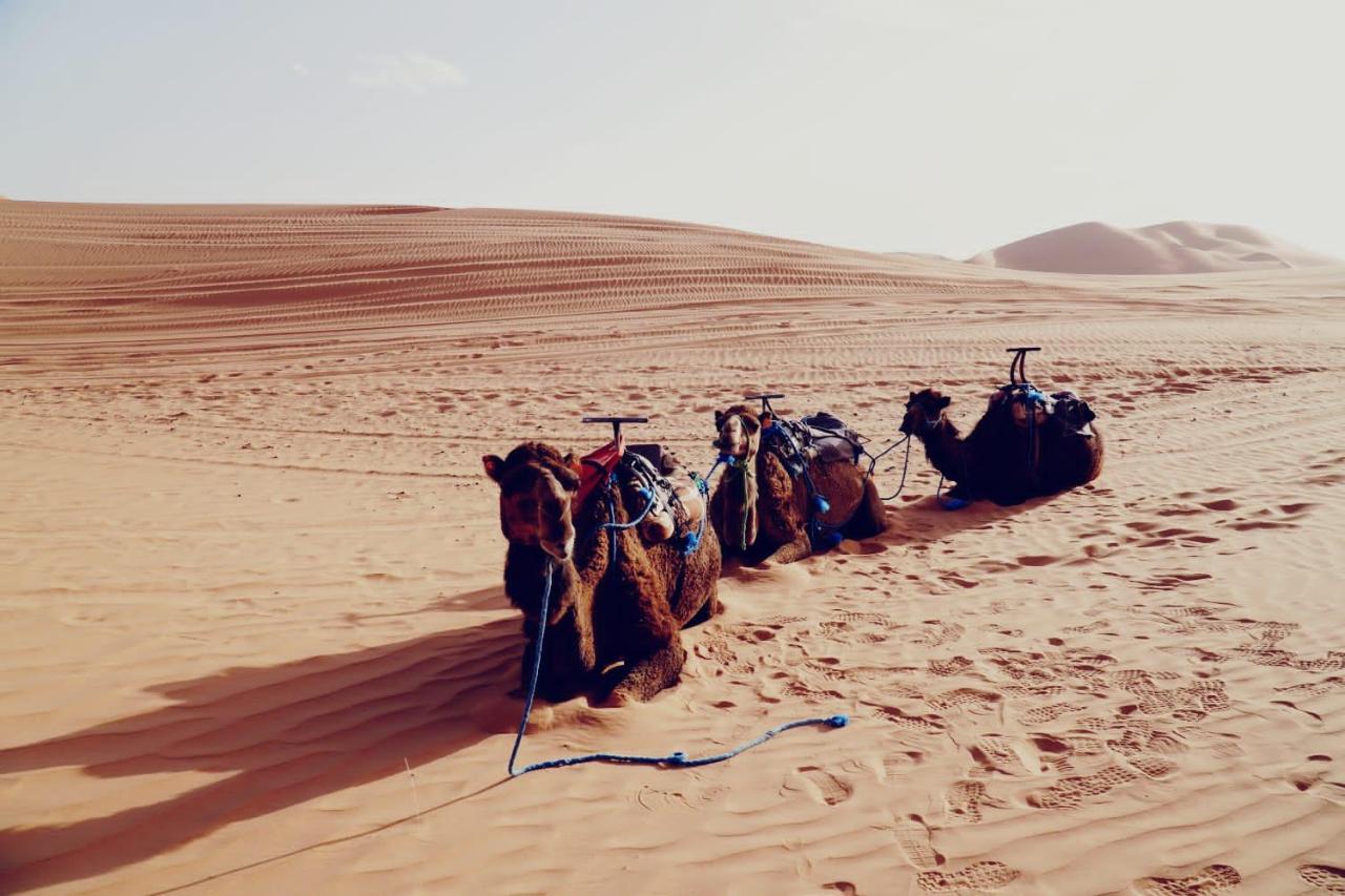 Tourza Desert Camp "Tents With Heating" Мерцуга Екстериор снимка